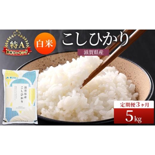 ふるさと納税 米 コシヒカリ 滋賀県 豊郷町 コシヒカリ 白米 5kg 定期 3回　米 コメ お米 こめ 精米 こしひかり 滋賀県 豊郷町_1