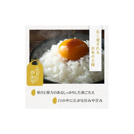 ふるさと納税 米 コシヒカリ 滋賀県 豊郷町 コシヒカリ 白米 5kg 定期 3回　米 コメ お米 こめ 精米 こしひかり 滋賀県 豊郷町_2