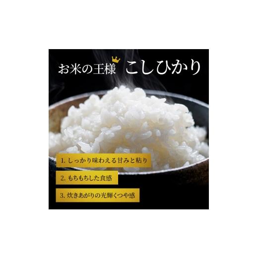 ふるさと納税 米 コシヒカリ 滋賀県 豊郷町 コシヒカリ 白米 5kg 定期 3回　米 コメ お米 こめ 精米 こしひかり 滋賀県 豊郷町_4