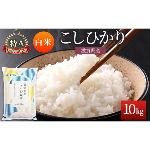 ふるさと納税 米 コシヒカリ 滋賀県 豊郷町 コシヒカリ 白米 10kg 米 コメ お米 こめ 精米 こしひかり 滋賀県 豊郷町