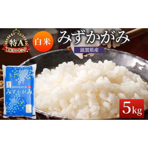 ふるさと納税 米 滋賀県 豊郷町 みずかがみ 白米 5kg 米 コメ お米 こめ 精米 ミズカガミ 滋賀県 豊郷町