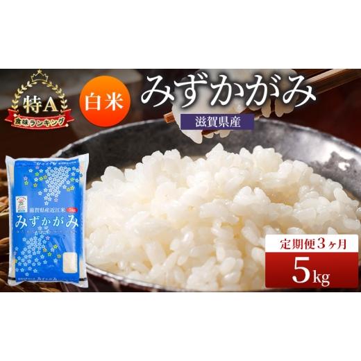 ふるさと納税 米 滋賀県 豊郷町 みずかがみ 白米 5kg 定期 3回　米 コメ お米 こめ 精米 ミズカガミ 滋賀県 豊郷町_1