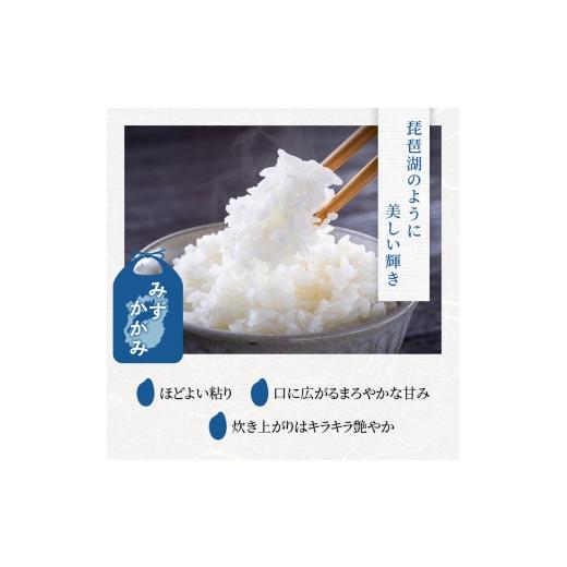 ふるさと納税 米 滋賀県 豊郷町 みずかがみ 白米 5kg 定期 3回　米 コメ お米 こめ 精米 ミズカガミ 滋賀県 豊郷町_2