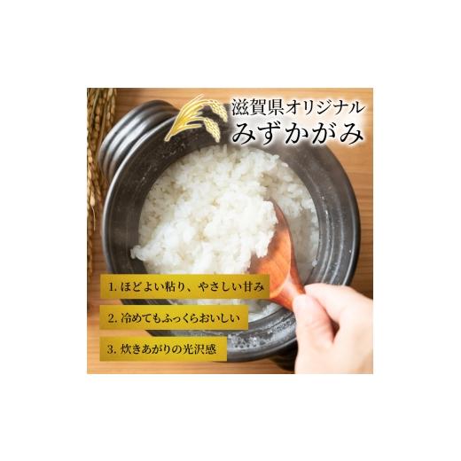 ふるさと納税 米 滋賀県 豊郷町 みずかがみ 白米 5kg 定期 3回　米 コメ お米 こめ 精米 ミズカガミ 滋賀県 豊郷町_3