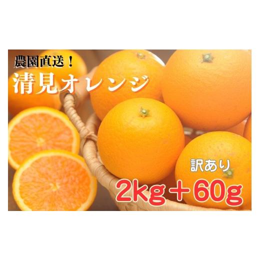 ふるさと納税 みかん・柑橘類 オレンジ 和歌山県 和歌山市 清見オレンジ 約2kg+60g傷み補償 大小混合 [ご家庭用] ちょっと訳あり 和歌山県産 農園直送 まご…