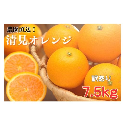 ふるさと納税 みかん・柑橘類 オレンジ 和歌山県 和歌山市 清見オレンジ 約7.5kg 大小混合 [ご家庭用] ちょっと訳あり 和歌山県産 農園直送 まごころ産直み…