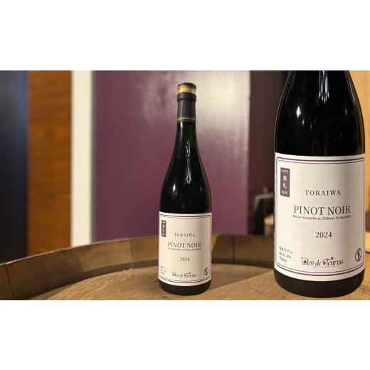 ふるさと納税 ワイン 赤ワイン 長野県 飯田市 2024 ピノノワールカルトノワール | ワイン 酒 お酒 サケ 地酒 贈答 贈り物 ギフト プレゼント ご褒美 晩酌 長野…