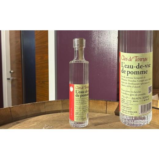 ふるさと納税 お酒 洋酒 長野県 飯田市 オードヴィードポンム ブランデー | ブランデー 酒 お酒 サケ 地酒 贈答 贈り物 ギフト プレゼント ご褒美 晩酌 長野県…