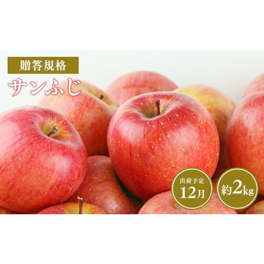 ふるさと納税 りんご 青森県 平川市 令和8年産先行受付 12月発送 贈答規格サンふじ約2kg 青森県平川市産