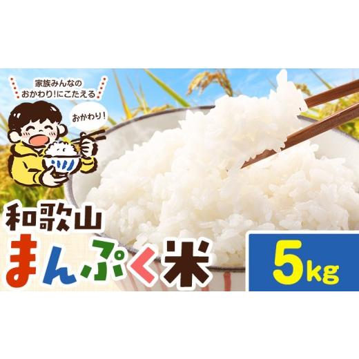 ふるさと納税 米 和歌山県 岩出市 米 こめ 和歌山まんぷく米 約5kg [30日以内に出荷予定(土日祝除く)] 和歌山県 岩出市 送料無料 お米 コメ 白米 精米 国産…