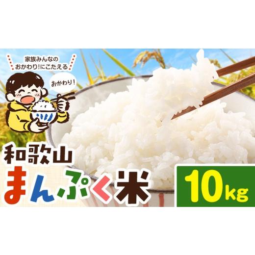 ふるさと納税 米 和歌山県 岩出市 米 こめ 和歌山まんぷく米 10kg [30日以内に出荷予定(土日祝除く)] 和歌山県 岩出市 送料無料 お米 コメ 白米 精米 国産米…