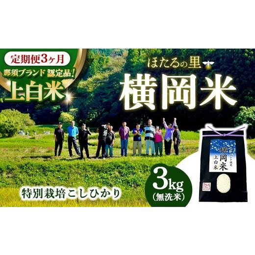 ふるさと納税 米 コシヒカリ 栃木県 那須町 3ヶ月定期便 特別栽培のこしひかり 横岡米 那須ブランド認定品 上白米 3kg 〔P-438〕 | 米 精米 減農薬 コメ 那須…