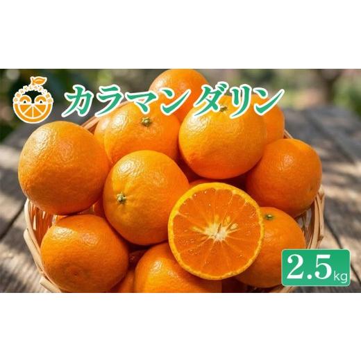 ふるさと納税 みかん・柑橘類 愛媛県 松山市 2026年4月中旬順次発送予定 中島産 カラマンダリン 約2.5kg 家庭用 中島みかんのまこ農園 | みかん ミカン オレ…