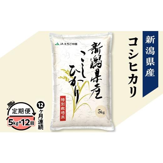 ふるさと納税 米 コシヒカリ 新潟県 長岡市 75-7N05ZB 12ヶ月連続お届け 新潟県長岡産コシヒカリ5kg(特別栽培米) 2026年5月下旬発送開始 発送開始時期:2026…