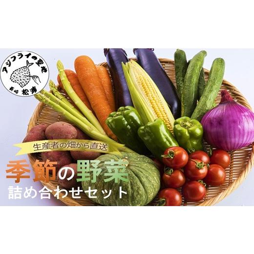 ふるさと納税 セット・詰合せ 長崎県 松浦市 ＼父の日/季節の野菜詰め合わせ( 季節 野菜 旬 安心 新玉ねぎ トマト じゃがいも 白菜 キャベツ きゅうり ) A9-0…