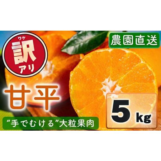 ふるさと納税 みかん・柑橘類 愛媛県 松山市 2027年1月中旬頃から順次発送 訳あり 農園直送 甘平 5kg | かんぺい 甘平 みかん 柑橘 mikan ミカン 蜜柑 希少 …