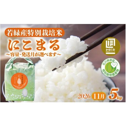 ふるさと納税 米 にこまる 石川県 かほく市 先行予約 令和8年産 発送月が選べる 若緑産 特別栽培米「にこまる」5kg 2026年11月発送 2026年11月