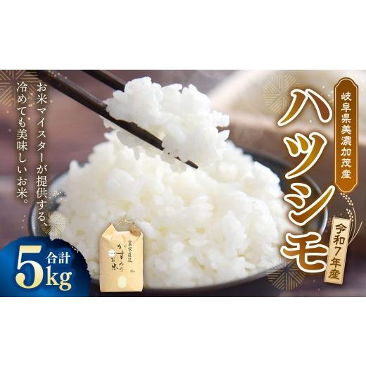 ふるさと納税 米 岐阜県 美濃加茂市 令和7年産 お米マイスターが提供 冷めても美味しい 美濃加茂産 ハツシモ ( 5kg × 1袋 ) 春見ライス 米 お米 コメ こめ …