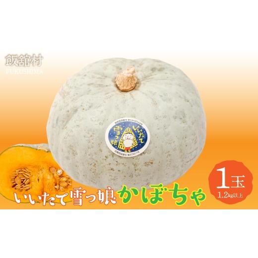 ふるさと納税 野菜類 福島県 飯舘村 数量限定・11月頃お届け 飯舘村名物 「いいたて雪っ娘」かぼちゃ(1玉1.2kg以上) ふるさと納税 人気 おすすめ ランキン…