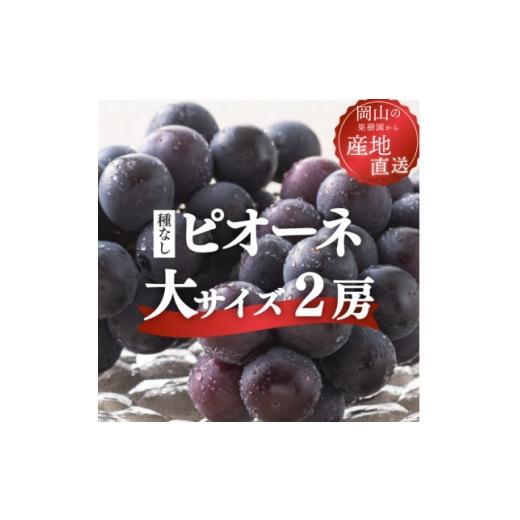 ふるさと納税 ぶどう 岡山県 津山市 2026年先行予約 ピオーネ 甘さも濃厚 大サイズ2房入 家庭用(岡山県産) 1535984
