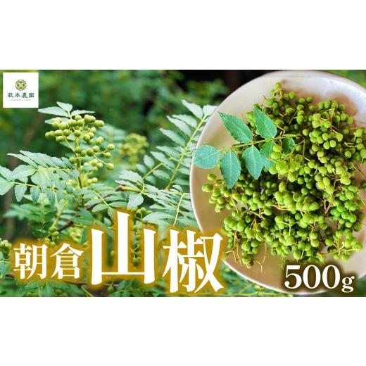 ふるさと納税 野菜類 薬味 奈良県 五條市 朝倉山椒 500g | 朝倉 山椒 さんしょう サンショウ 胡椒 調味料 スパイス 家庭用 自宅用 産地直送 5月 発送 国産 人…