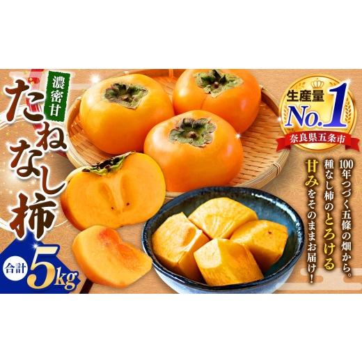 ふるさと納税 果物類 柿 奈良県 五條市 たねなし柿 約 5kg | 先行予約 大人気 人気 柿 かき たねなし フルーツ 果物 奈良県 五條市 萩本農園 ギフト おすすめ …