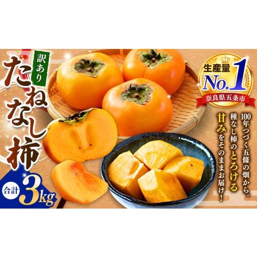 ふるさと納税 果物類 柿 奈良県 五條市 [訳あり]たねなし柿 約 3kg | 先行予約 大人気 人気 柿 かき フルーツ 果物 訳 あり ワケあり 奈良県 五條市 萩本農…
