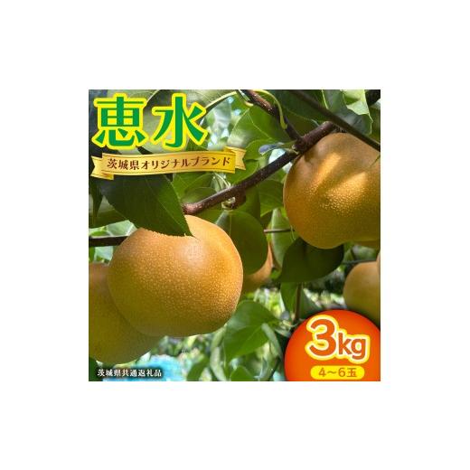ふるさと納税 梨 茨城県 桜川市 恵水 約 3kg 4〜6玉 (茨城県共通返礼品:かすみがうら市) 2026年 マスカット ぶどう 葡萄 ブドウ フルーツ 果物 くだもの 旬 食…