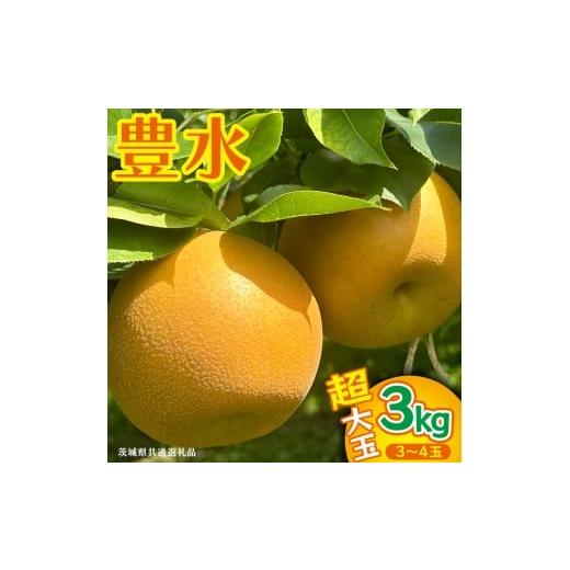 ふるさと納税 梨 茨城県 桜川市 豊水 超大玉 約 3kg 3〜4玉 (茨城県共通返礼品:かすみがうら市) 2026年 マスカット ぶどう 葡萄 ブドウ フルーツ 果物 くだも…