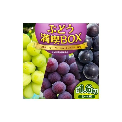 ふるさと納税 ぶどう マスカット 茨城県 桜川市 種なし シャインマスカット ・ ピオーネ ・ 藤稔 約 1.6kg 計 3〜4房 ぶどう満喫BOX (茨城県共通返礼品:かす…