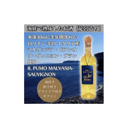 ふるさと納税 ワイン 白ワイン 神奈川県 真鶴町 海底に半年沈めて熟成した白ワイン 辛口 IL PUMO MALVASIA-SAUVIGNON #9 1719230