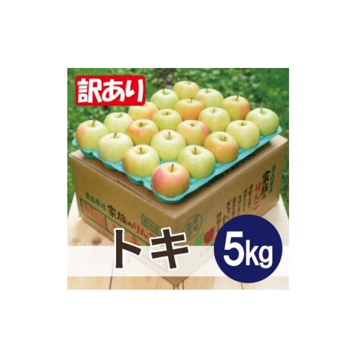 ふるさと納税 りんご 青森県 大鰐町 10月〜11月発送予定 平均糖度12度以上 トキ 約5kg 訳あり 1664904