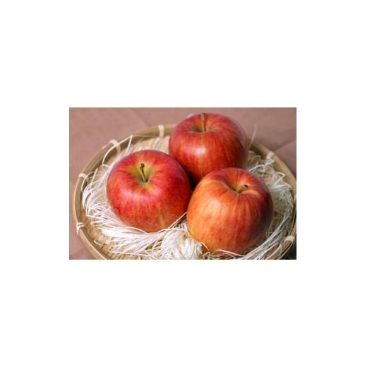 ふるさと納税 りんご 青森県 大鰐町 2026年10月発送予定 平均糖度12度以上 葉とらずサンつがる 約3kg おもてなし用 1667863