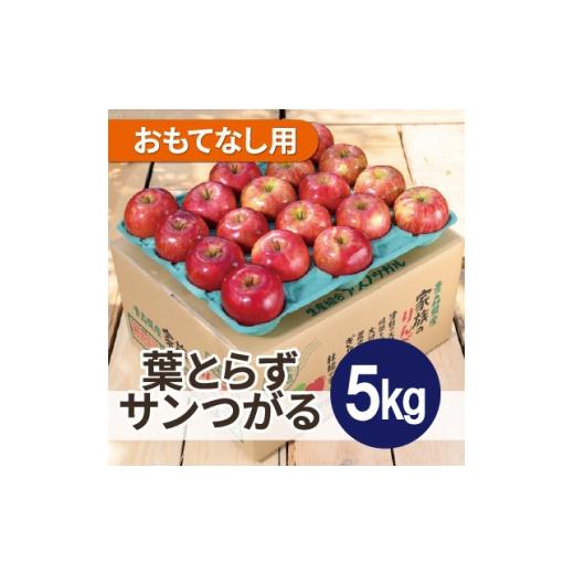 ふるさと納税 りんご 青森県 大鰐町 2026年10月発送予定 平均糖度12度以上 葉とらずサンつがる 約5kg おもてなし用 1667865
