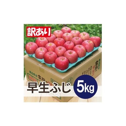 ふるさと納税 りんご 青森県 大鰐町 2026年10月発送予定 平均糖度12度以上 早生ふじ 約5kg 訳あり 1667887