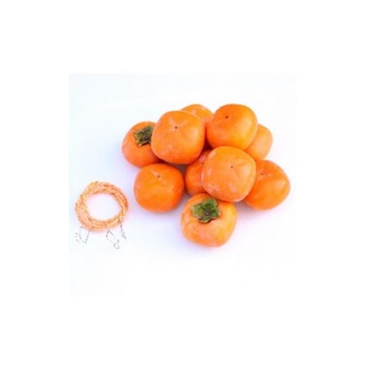 ふるさと納税 果物類 柿 和歌山県 橋本市 干し柿作成セット たねなし柿 L~2Lサイズ20個 柳フルーツ園 1713409