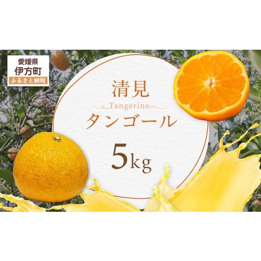 ふるさと納税 みかん・柑橘類 愛媛県 伊方町 清見タンゴール ふるさと納税 人気 おすすめ ランキング 清見タンゴール みかん ミカン オレンジ 愛媛県 伊方町 …