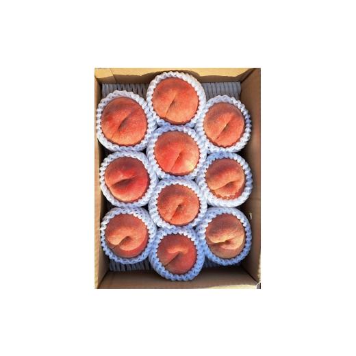 ふるさと納税 もも 山形県 天童市 08-45-006 もも(あかつき)2kg