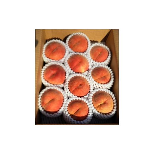 ふるさと納税 もも 山形県 天童市 08-45-008 もも(川中島白桃)2kg