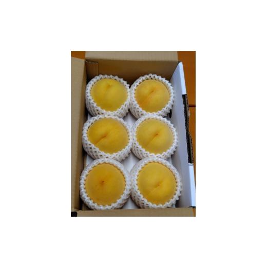 ふるさと納税 もも 山形県 天童市 08-45-010 もも(光貴)2kg