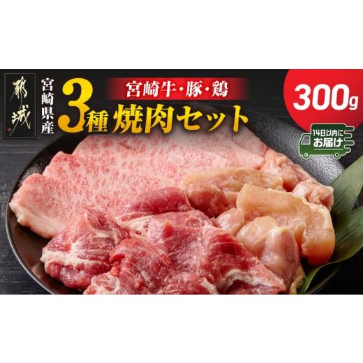 ふるさと納税 牛肉 バラ(カルビ) 宮崎県 都城市 宮崎県産 宮崎牛・豚・鶏 3種の焼肉セット300g みやこんじょ快速便 _AA-89-003-300g-R_(都城市) 宮崎県産 焼肉…