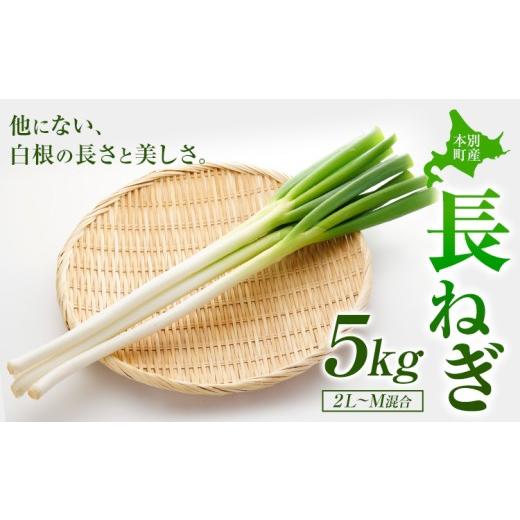 ふるさと納税 野菜類 ねぎ 北海道 本別町 本別産 長ねぎ 5kg 2L〜M 混合 石上農場[11月上旬から12月下旬 順次出荷]北海道 本別町 送料無料 北海道 本別町 …