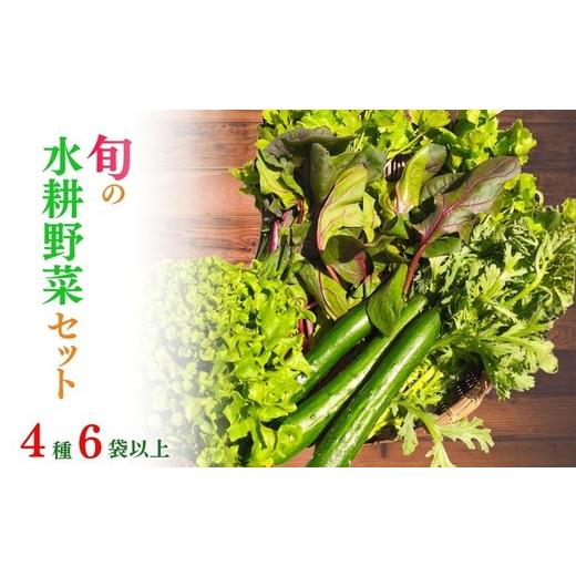 ふるさと納税 セット・詰合せ 京都府 亀岡市 4月発送 旬の水耕野菜セット 4種6袋以上 京都 亀岡産 産地直送 詰め合わせ 冷蔵 季節の野菜 やさい 配送不可地域…