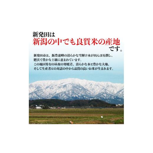 ふるさと納税 米 新潟県 新発田市 2026年4月中旬発送 新之助 10kg 令和7年産 真空パック 五つ星お米マイスター 新潟県産 新発田産 備蓄 非常 防災 長期保存 …_2