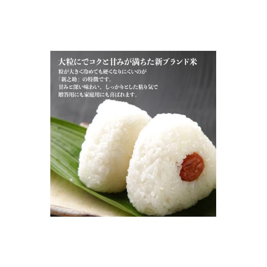 ふるさと納税 米 新潟県 新発田市 2026年4月中旬発送 新之助 10kg 令和7年産 真空パック 五つ星お米マイスター 新潟県産 新発田産 備蓄 非常 防災 長期保存 …_3
