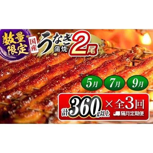 ふるさと納税 うなぎ 宮崎県 新富町 数量限定 うなぎ 定期便 国産 鰻 蒲焼 2尾セット 全3回 隔月定期便(2026年5月、7月、9月お届け)合計1kg以上 魚介 贈答…