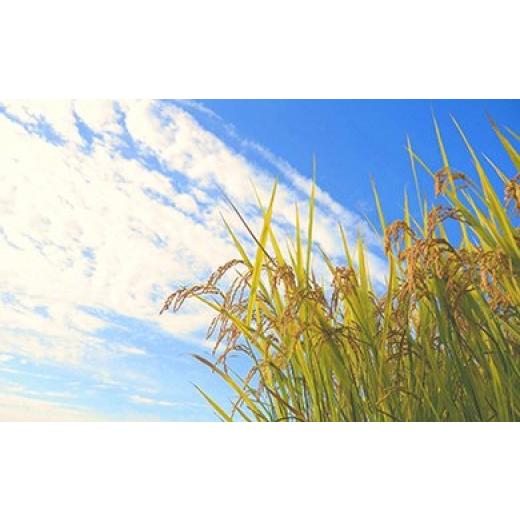 ふるさと納税 無洗米 山形県 朝日町 無洗米 つや姫 令和7年産 7kg (5kg×1、2kg×1) 2025年産 山形県 朝日町産 精米 米 こめ コメ 無洗米つや姫7kg_1