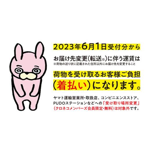 ふるさと納税 無洗米 山形県 朝日町 無洗米 つや姫 令和7年産 7kg (5kg×1、2kg×1) 2025年産 山形県 朝日町産 精米 米 こめ コメ 無洗米つや姫7kg_5