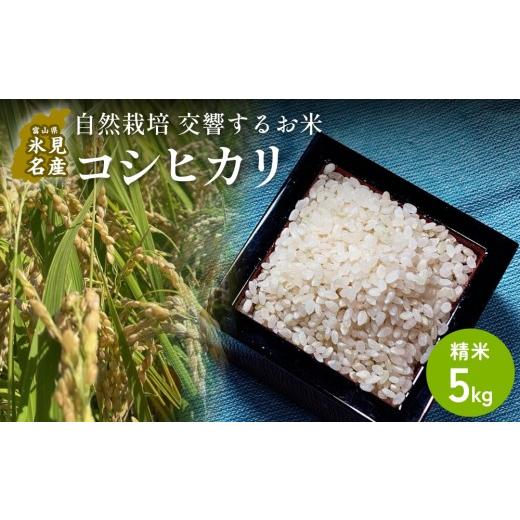 ふるさと納税 米 コシヒカリ 富山県 氷見市 交響するお米 [精米]自然栽培 コシヒカリ 5kg(富山県 氷見市 / 令和7年産) | 移住農家が里山から直送 米 白…