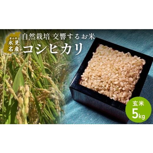 ふるさと納税 玄米 富山県 氷見市 交響するお米 [玄米]自然栽培 コシヒカリ 5kg(富山県 氷見市 / 令和7年産) | 移住農家が里山から直送 米 こしひかり